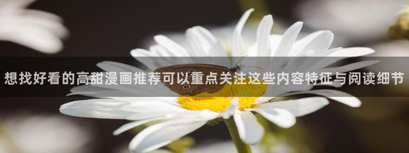 漫漫漫画漫画资源大全